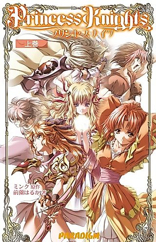 Cover image for the novel called Princess Knights