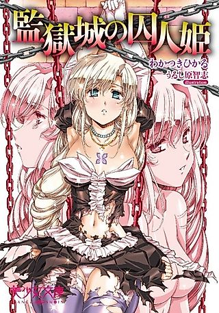Cover image for the novel called Kangokuki no Shuujin-hime
