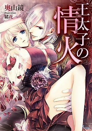 Cover image for the novel called Outaishi no Jouka