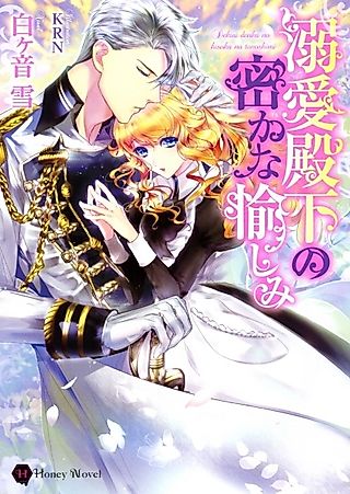 Cover image for the novel called Dekiai Denka no Hisoka na Tanoshimi