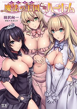 Cover image for the novel called Wagaya wa Mahou no Oukoku Boumei Harem