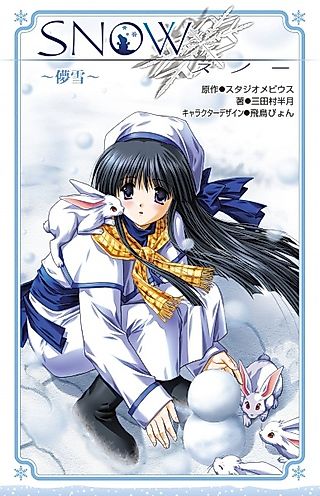 Cover image for the novel called Snow: Hakana Yuki