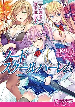 Cover image for the novel called Sword School Harem: Sandai Kenki wo Saimin Seifuku