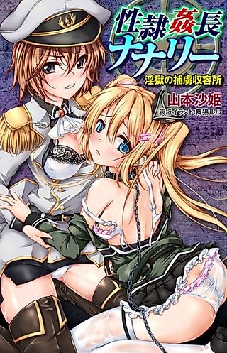 Cover image for the novel called Seirei Kanchou Nunnally: Ingoku no Horyo Shuuyoujo