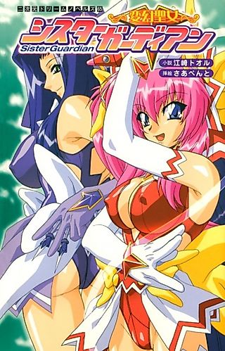 Cover image for the novel called Hengen Seijo: Sister Guardian