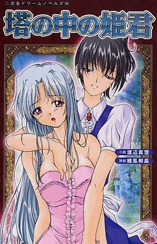 Cover image for the novel called Tou no Naka no Himegimi