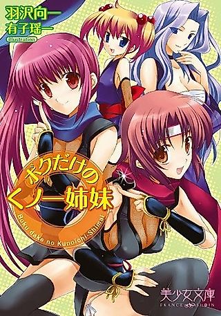 Cover image for the novel called Boku dake no Kunoichi Shimai