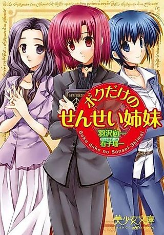 Cover image for the novel called Boku dake no Sensei Shimai