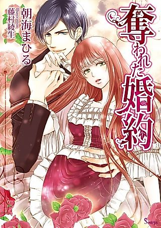 Cover image for the novel called Ubawareta Konyaku