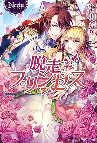 Cover image for the novel called Dassou Princess