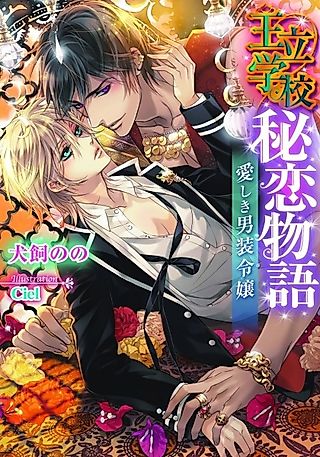 Cover image for the novel called Ouritsu Gakkou Hiren Monogatari: Itoshiki Dansou Reijou