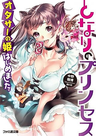 Cover image for the novel called Tonari no Princess: Otaku Circle no Hime Hajimemashita.