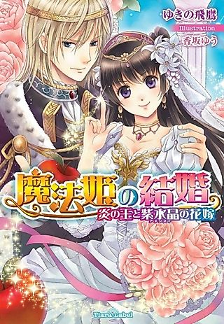 Cover image for the novel called Mahouhime no Kekkon: Honoo no Ou to Amethyst no Hanayome