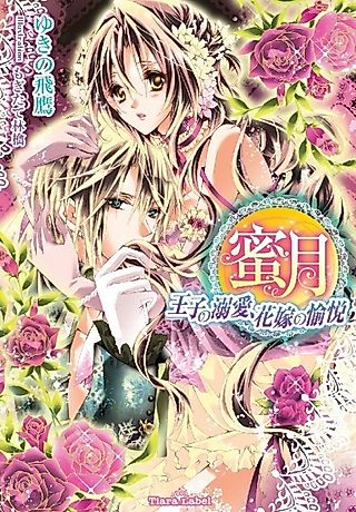 Cover image for the novel called Mitsuetsu: Ouji no Dekiai, Hanayome no Yuetsu
