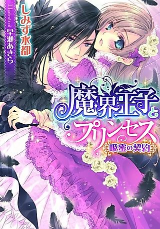 Cover image for the novel called Makai Ouji to Princess: Kyuumitsu no Keiyaku