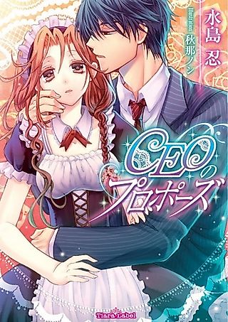 Cover image for the novel called CEO no Proposal