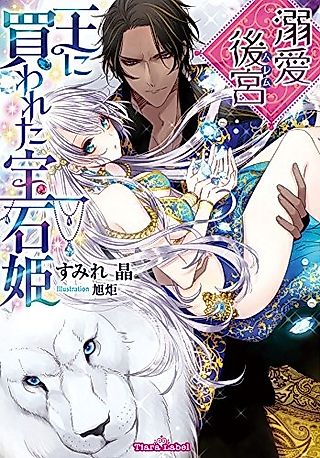 Cover image for the novel called Dekiai Koukyuu: Ou ni Kawareta Houseki-hime