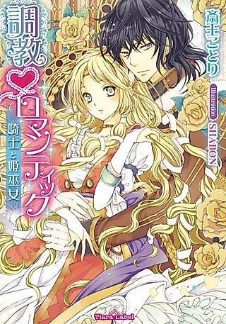 Cover image for the novel called Choukyou♥Romantic: Kishi to Himemiko