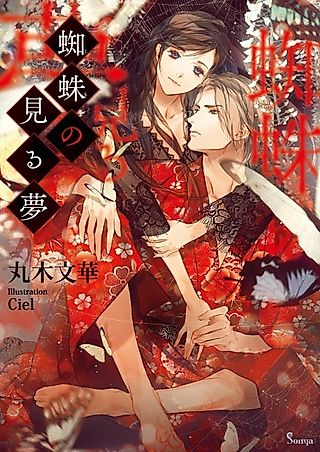Cover image for the novel called Kumo no Miru Yume