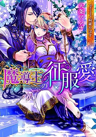 Cover image for the novel called Madouou no Seifukuai