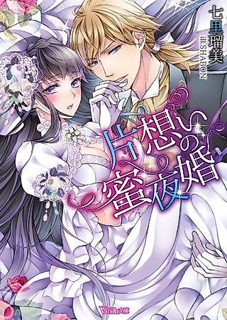 Cover image for the novel called Kataomoi no Mitsuyokon