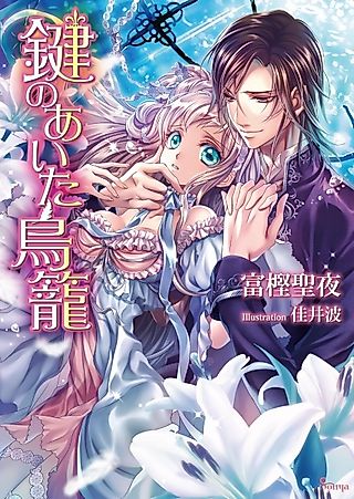 Cover image for the novel called Kagi no Aita Torikago