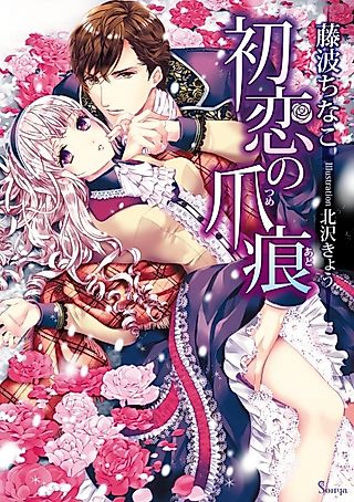 Cover image for the novel called Hatsukoi no Tsumeato