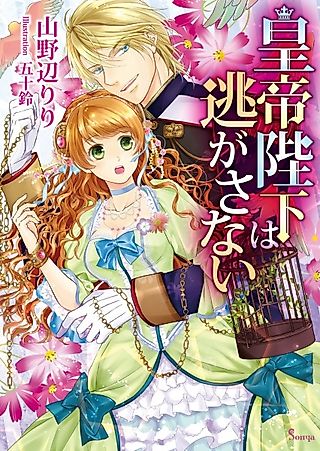 Cover image for the novel called Koutei Heika wa Nigasanai