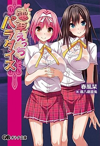 Cover image for the novel called Densha Ecchi Paradise