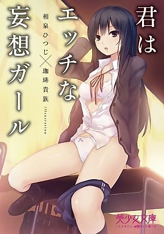 Cover image for the novel called Kimi wa Ecchi na Mousou Girl