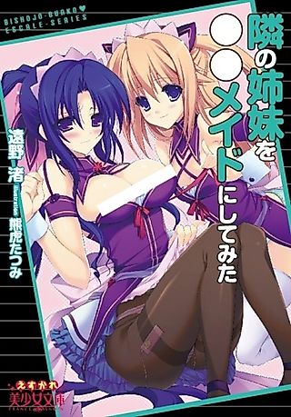 Cover image for the novel called Tonari no Shimai ○○ Maid ni Shitemita