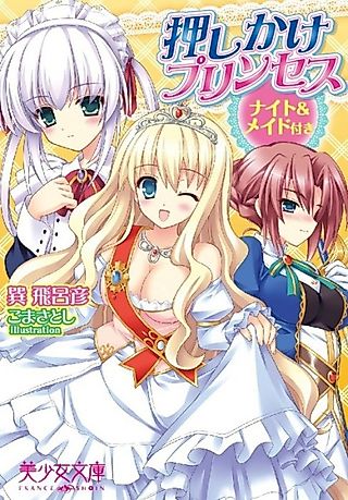 Cover image for the novel called Oshikake Princess: Knight & Maid Tsuki