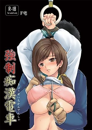Cover image for the other called Kyousei Chikan Densha