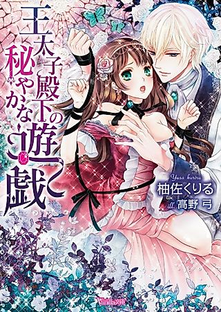 Cover image for the novel called Outaishi Denka no Hisoyaka na Yuugi