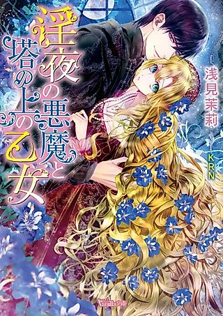Cover image for the novel called Inya no Akuma to Tou no Ue no Otome