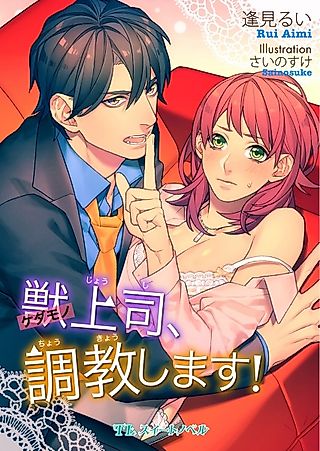 Cover image for the novel called Kedamono Joushi, Choukyou shimasu!