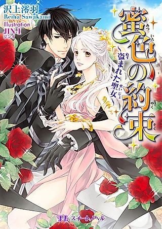 Cover image for the novel called Mitsu-iro no Yakusoku: Nusumareta Seijo