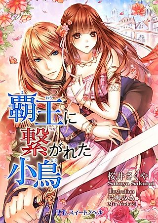 Cover image for the novel called Haou ni Tsunagareta Kotori
