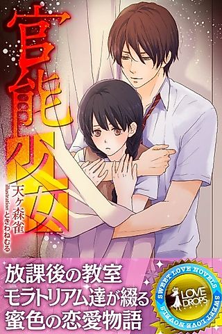 Cover image for the novel called Kannou Shoujo