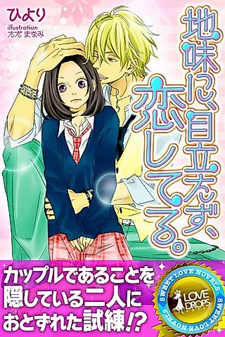 Cover image for the novel called Jimi ni, Medatazu, Koishiteru.