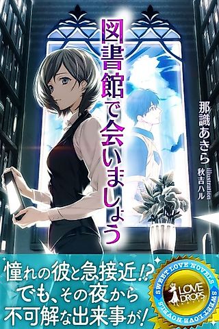 Cover image for the novel called Toshokan de Aimashou