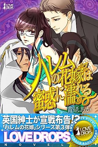 Cover image for the novel called Harem no Hanayome wa Mitsuwaku ni Nureru