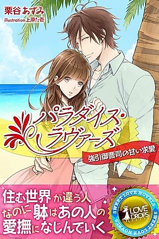 Cover image for the novel called Paradise Lovers: Gouin Onzoushi no Amai Kyuuai