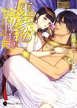 Cover image for the novel called Ouke no Himegoto