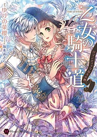 Cover image for the novel called Otome no Kishidou: Romantic na Tamanokoshi