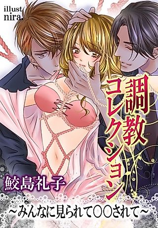Cover image for the novel called Choukyou Collection: Minna ni Mirarete ○○ Sarete