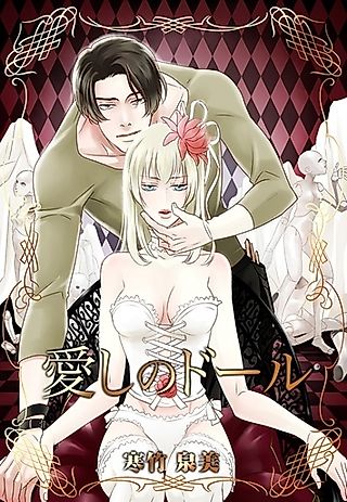 Cover image for the novel called Aishi no Doll