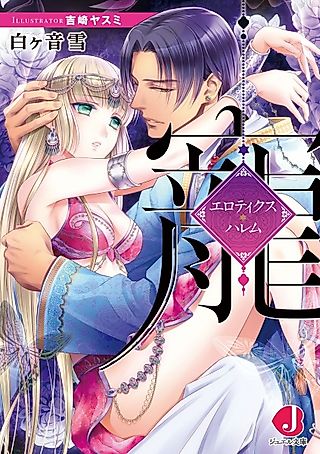 Cover image for the novel called Chou: Erotics Harem