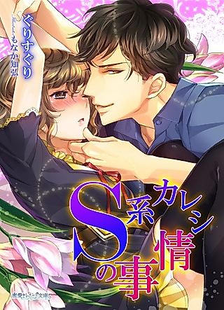 Cover image for the novel called S-kei Kareshi no Jijou