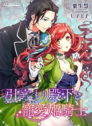 Cover image for the novel called Hikikomori Denka to Chouai Himekishi